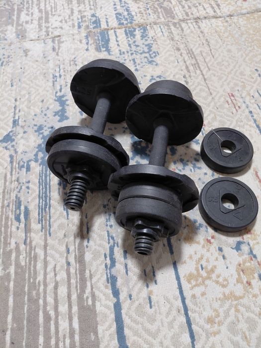 Гантели разборные