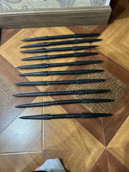 Түйеге мұрындықтар