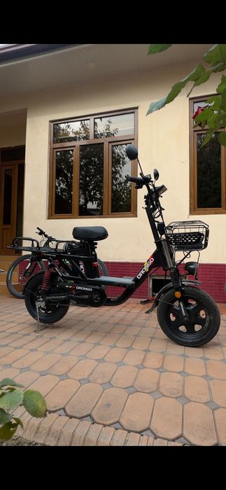 Skuter Prava kerak emas