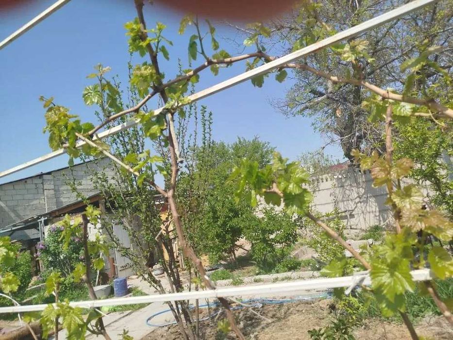 продам или обменяю дом