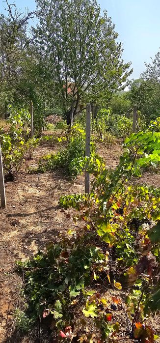 Продава се Парцел в Русе, в.з. Левента - 447 кв.м за 10 €/кв.м - Снимка #11