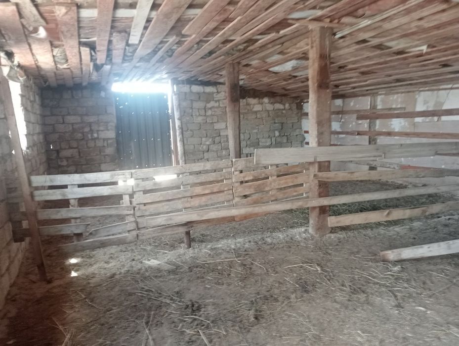 Ақкиізтоғайдан жер үй сатылады