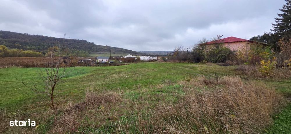 TEREN de Construit – 2.000 MP – ZĂPODIA-TRAIAN