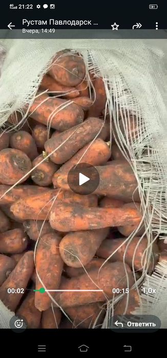 Морковь. Морковка мабиз