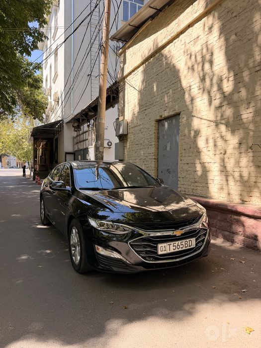 Malibu Primer 2022 (своя)