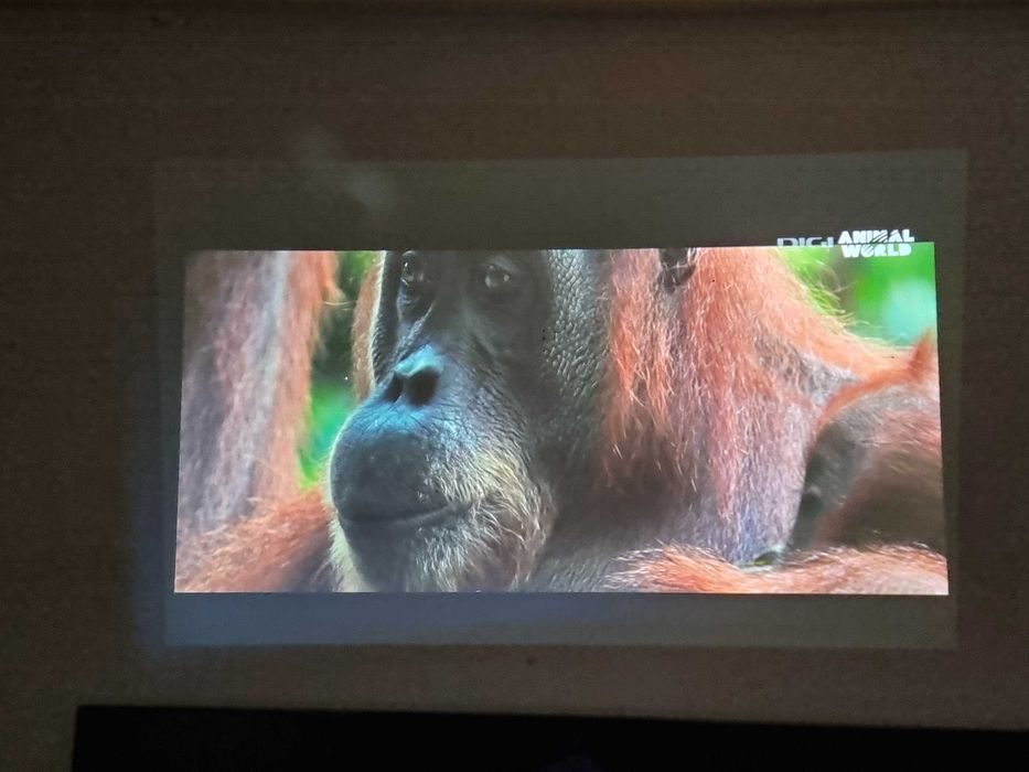 Videoprjiector Emachine700 3D HD pentru Terasă