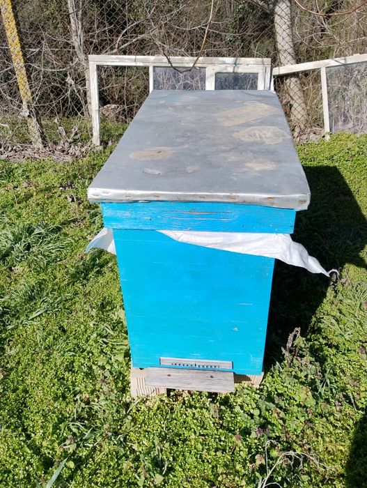 Празни пчелни кошери