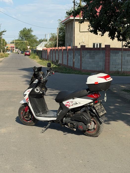 Лия самурай 2025