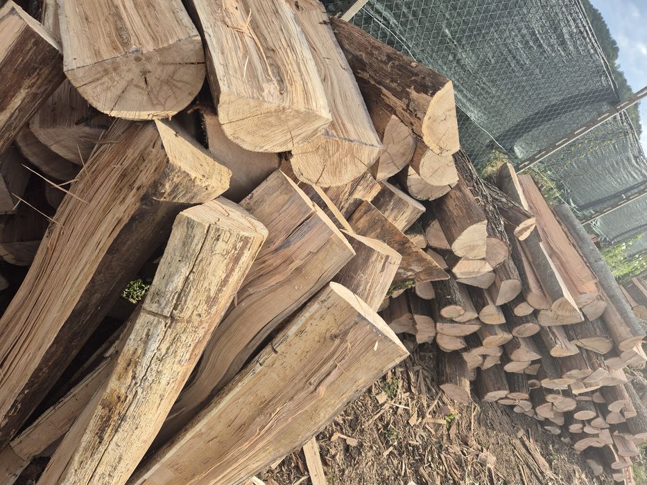 Lemne de foc doar esente tari