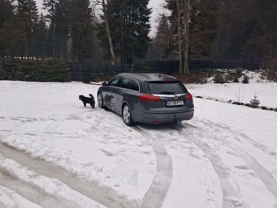 Vand opel insignia motor blocat