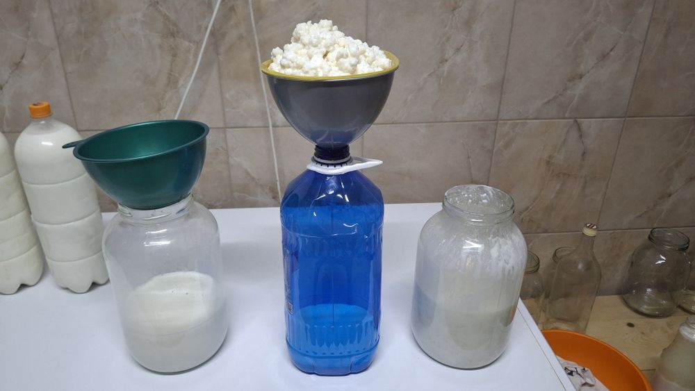 Vând ciuperca tibetana pentru kdfir