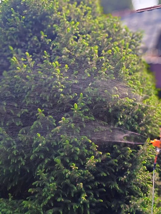 Форсунка для дорожного катка и обработки