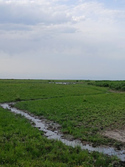 ФАЗЕНДА сатылады