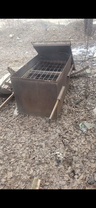 Коктальница большая