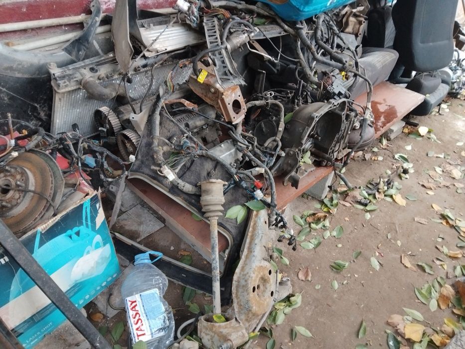 Полный разбор рвр