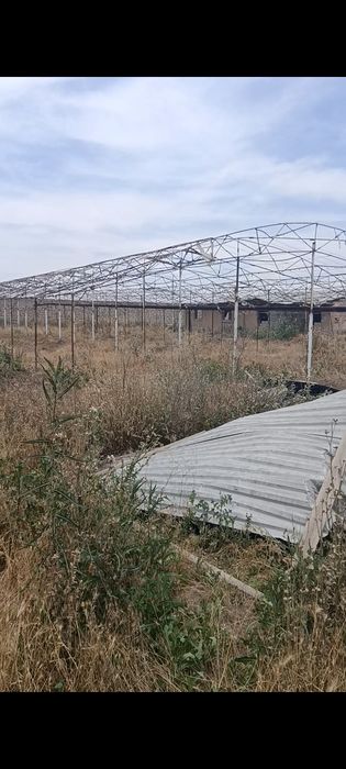 Parnik sotiladi faqatgina parnik tayor