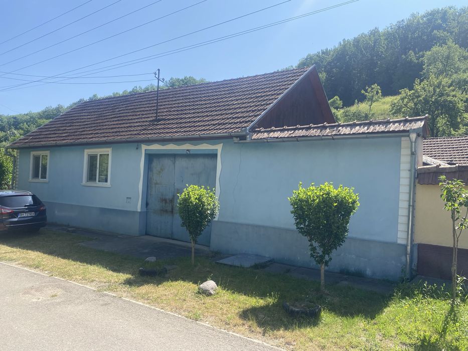 Vând casă, sat Tărcăița, 191 mp utili, 718 mp teren cu pomi fructiferi