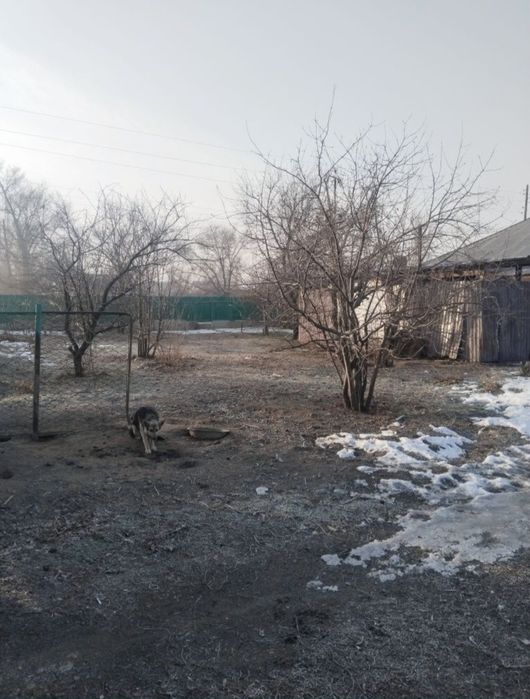 Продам дом Балтабай