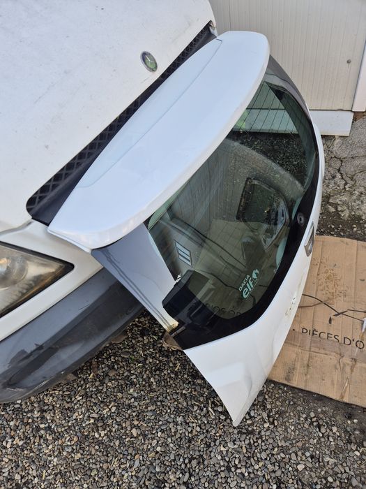 Haion Dacia Duster 2010-2017. Fără rugină.