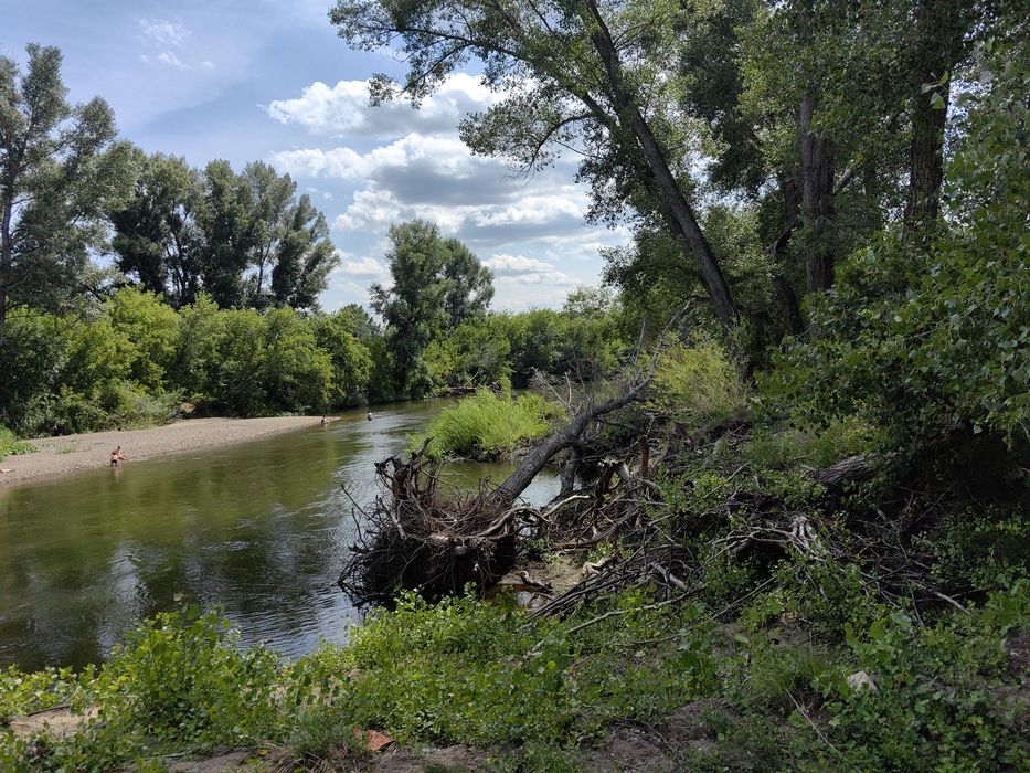 Продам дачу ск Строитель 7