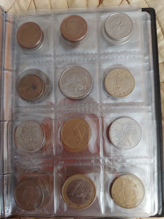 Albume cu monede