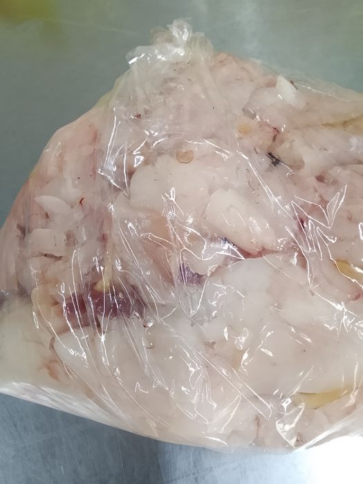 Продаю судака жиры свежие