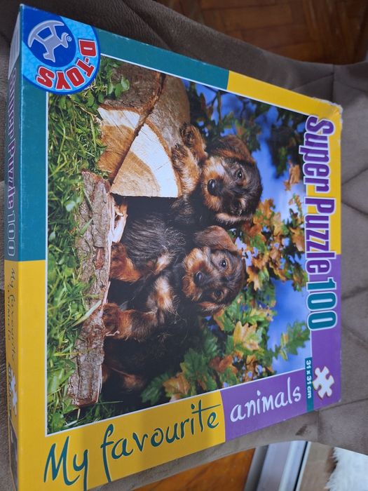 Jocuri puzzle si un joc adevarat sau fals