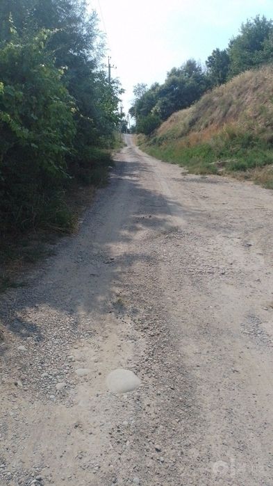 Ховли Ботаника махаласи