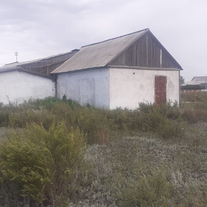 Помещение под бизнес