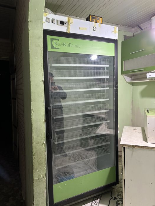 Инкубатор для птиц