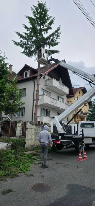 Toaletare taiere arbori din nacela si cu tehnici de alpinism utilitar