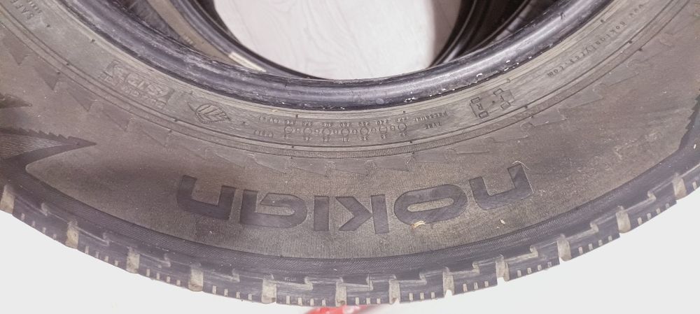 Шины Nokian Nakapellita