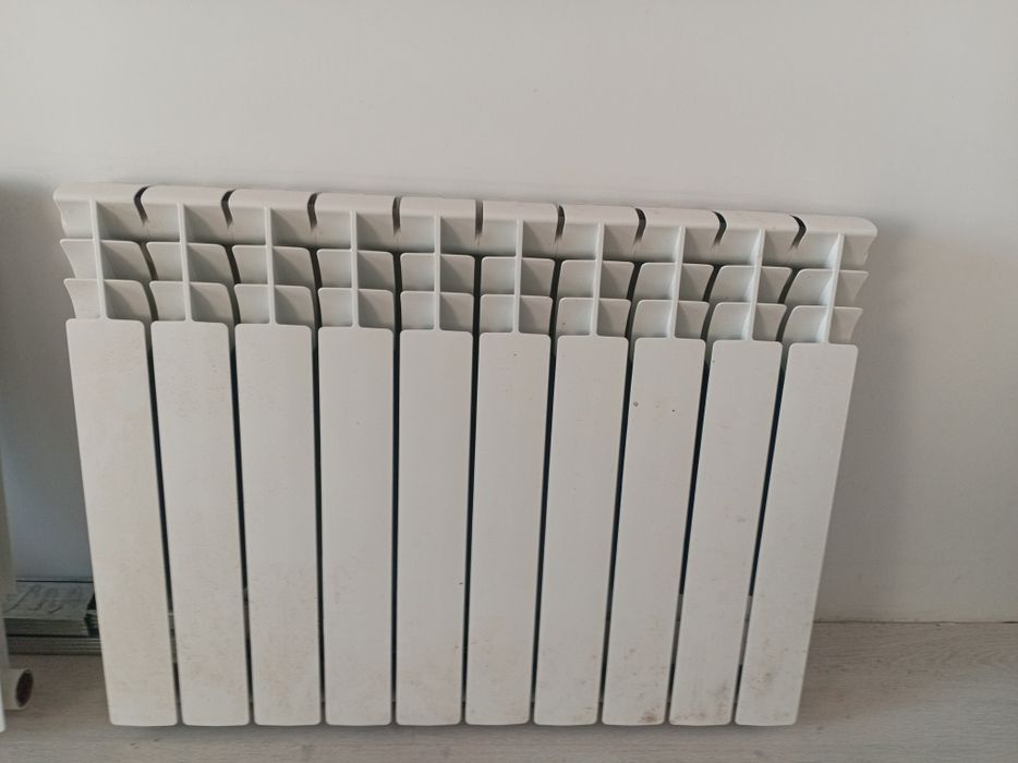 батарика боуши хароши