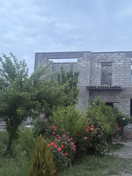 Оралманда жазык уй сатылады