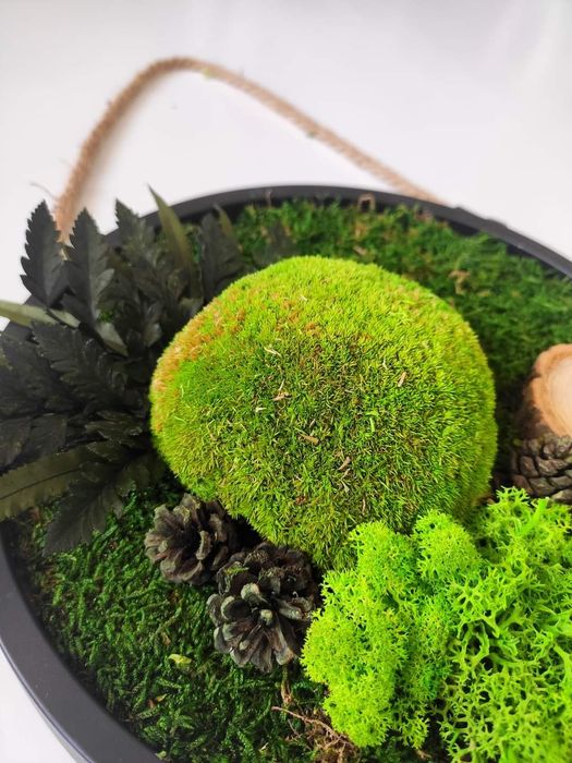 Кръгове със скандинавски мъх