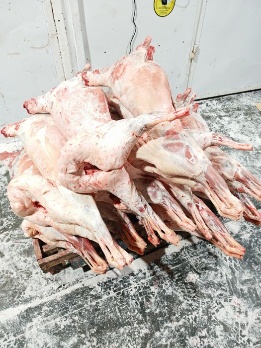 Мясо баранина оптом целиком тушами