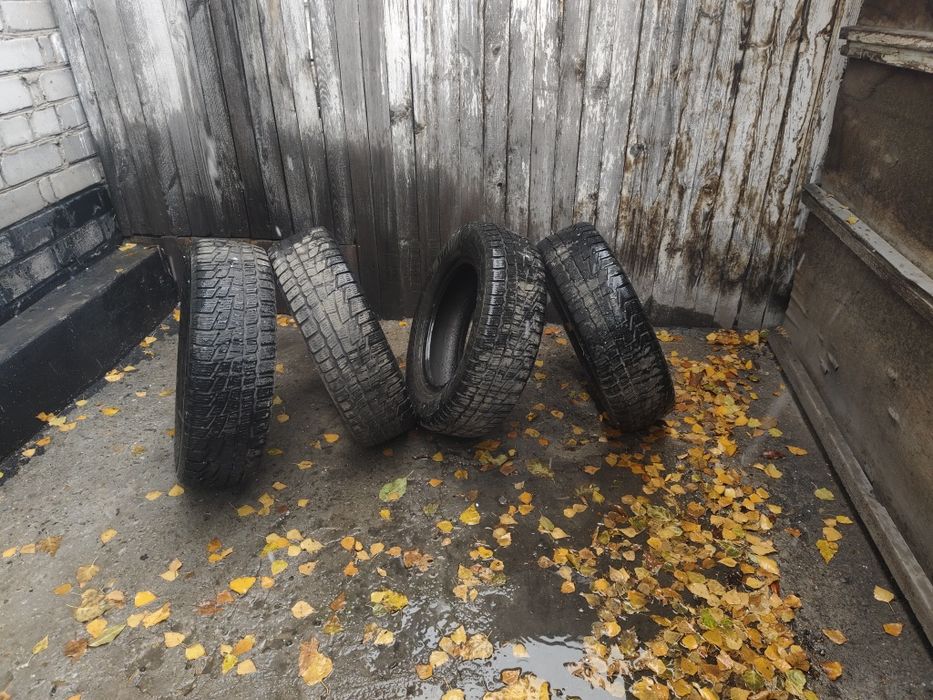 Зимний ризина лепучка харашом состояние