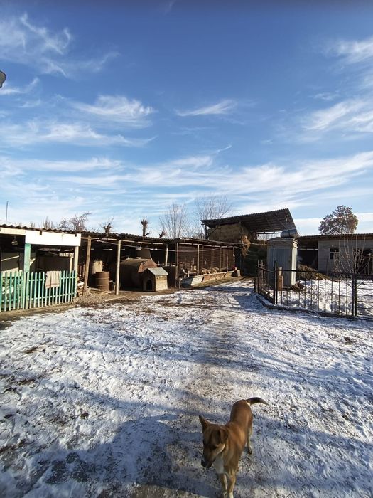 Продам дом в Узнагаче