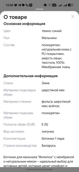 Фирма Филипок зима