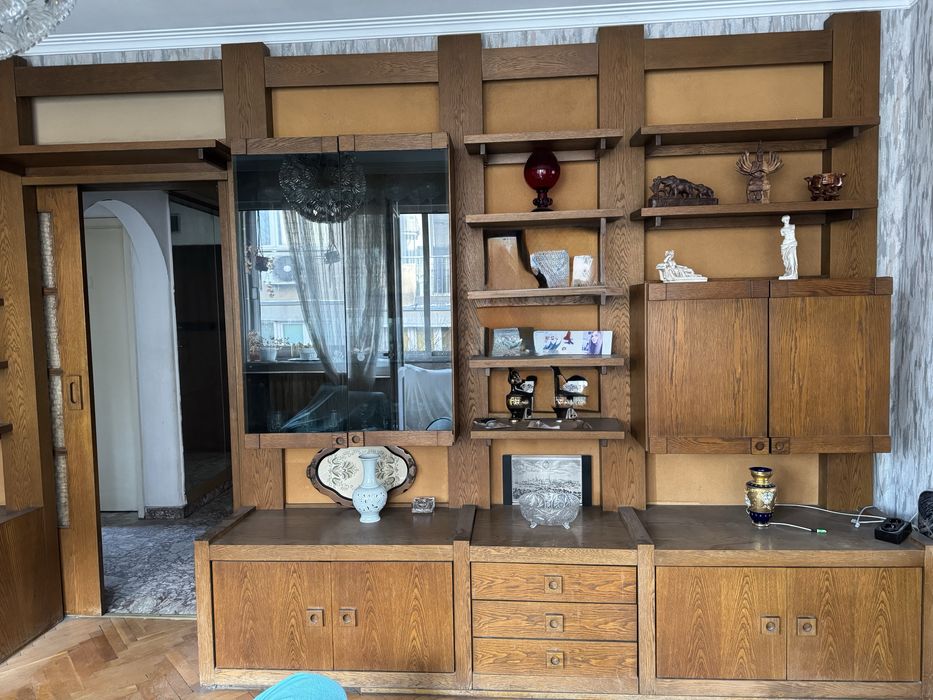 Холна Секция дъб