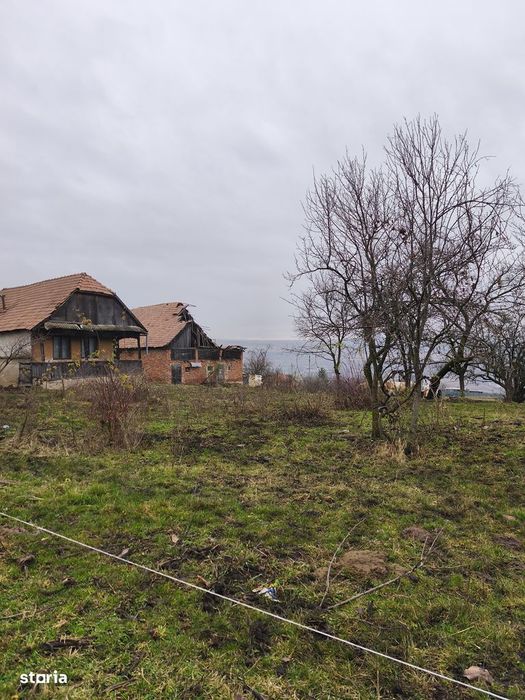 Teren 7721 mp racordat la rețeaua de electricitate