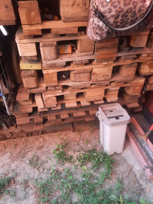 Продам поддоны. Есть евро и обычные.