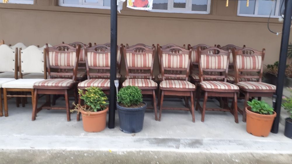 URGENT ,Vând 24 de scaune din lemn masiv