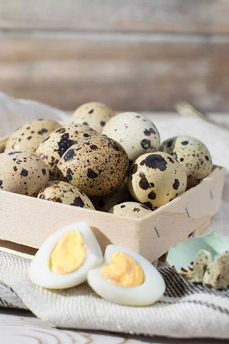 Свежие Перепелиное Яйцо Xonadon Bedana Tuxumlari Бедана Тухум Доставка