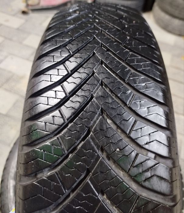 15 lik archa balon idial