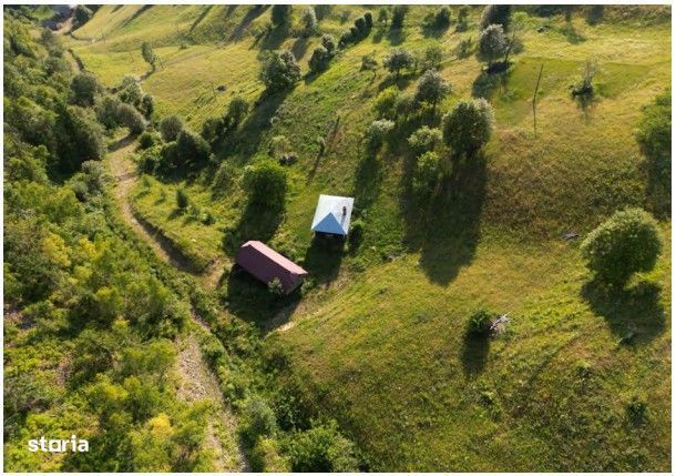 Teren extravilan si constructii Lesu, jud Bistrita-Nasaud - 3076236