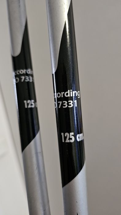 Ски Rossignol 170 и щеки.