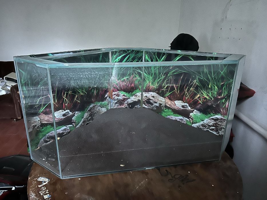 Аквариум на 150л