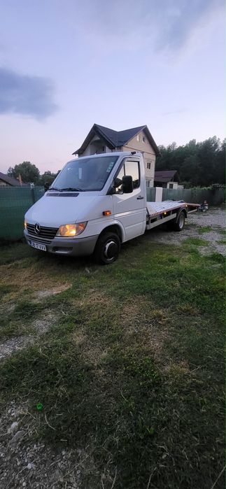 Sprinter platforma 313
