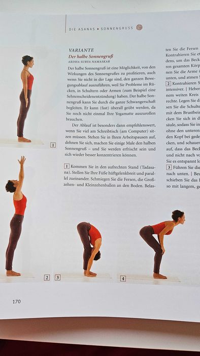 Carte yoga- Anna Trokes- Das grosse yoga-buch